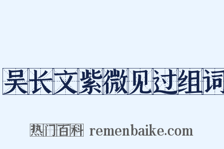吴长文紫微见过组词是什么意思的图片